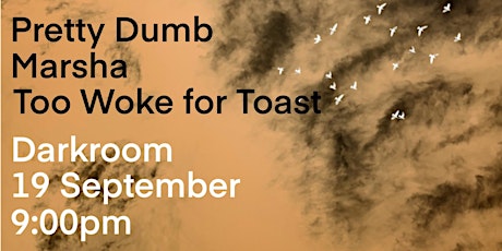 Pretty Dumb + Marsha + Too Woke for Toast at darkroom primary image