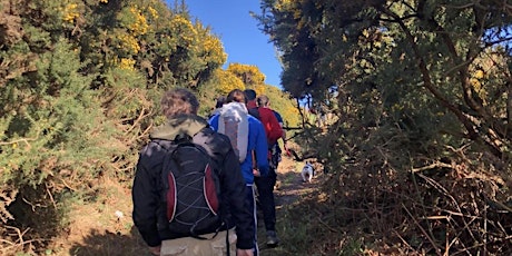 Dublin Boys Club: Hike at Crone Woods, Co Wicklow