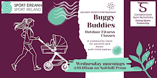 Autumn Buddy Buggies Salthill primary image