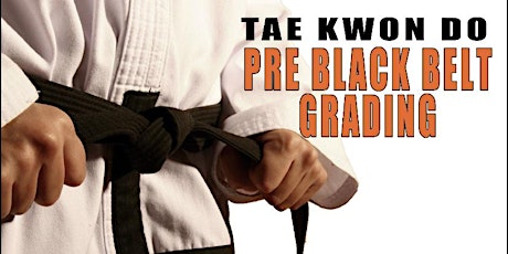 Tae Kwon Do Pre Black Belt primary image