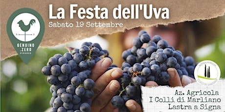 Immagine principale di La festa dell'uva 