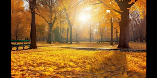 Image principale de Fall Harvest Dance 21+