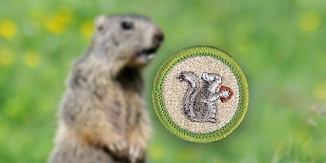 Virtual Mammal Study Merit Badge primary image