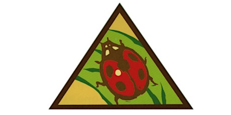 Virtual Girl Scouts Bugs! Badge primary image