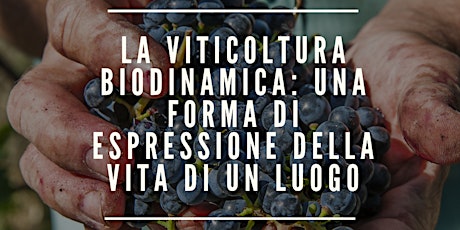 Immagine principale di LA VITICOLTURA BIODINAMICA: UNA FORMA DI ESPRESSIONE DELLA VITA DI UN LUOGO 