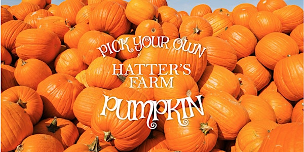Hatter's Farm Pick Your Own Pumpkin