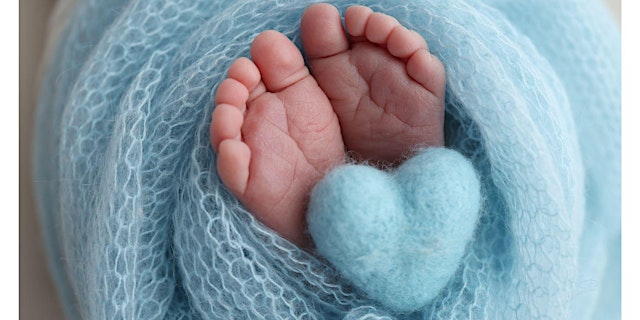 Image principale de On Your Way to a Healthy Pregnancy: Labour & Delivery Basics