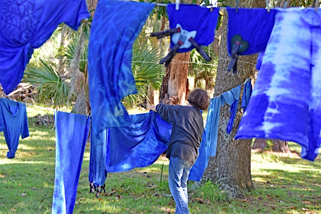 Imagem principal do evento Hands-On Indigo Dyeing : Ossabaw Island Indigo Day Trips