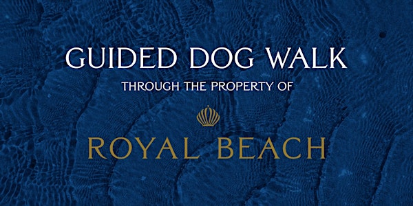 Guided Dog Walks Through Royal Beach - Wednesday Sept 23rd
