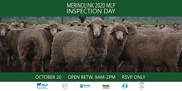 MerinoLink MLP 2020 Inspection Day