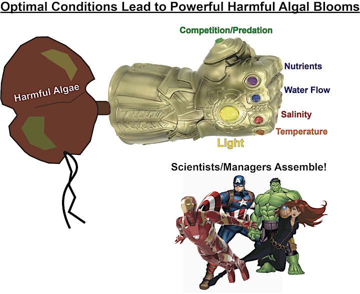 graphic showing algae blooms and avengers