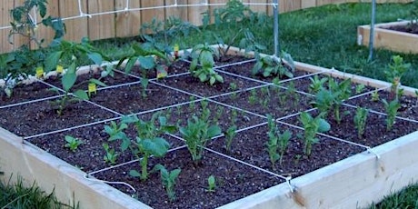 Basics of Square Foot Gardening - Virtual Presentation primary image