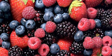 Berries - Blackberries, Blueberries and Strawberries - Virtual Presentation primary image