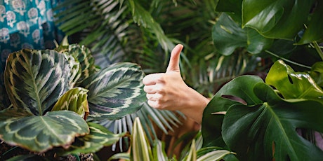 How to Care for your Houseplants - Free Talk and Demo! primary image