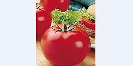Tomatoes - In Search of the Perfect Tomato - Virtual Presentation primary image