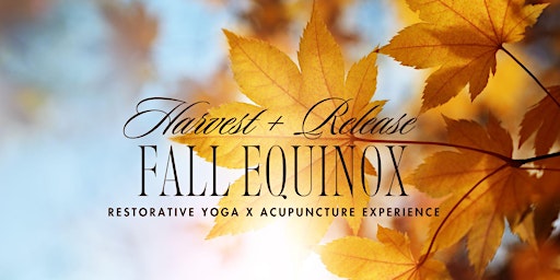 Image principale de Harvest + Release: Fall Equinox Restorative Yoga x Acupuncture