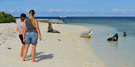 Abrolhos Islands Day Trip on Fortitude primary image