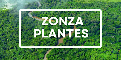 Image principale de Zonza Plantes : Explorons la flore du Bassin du Congo