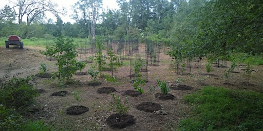 Tree Planting in Neshaminy State Park,PA-1000 native trees spring/fall 2022