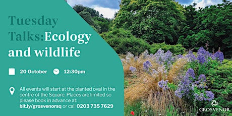 Redesigning Grosvenor Square: Tuesday talk on Ecology and Wildlife