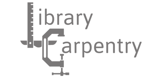 Library Carpentry (Minnesota)