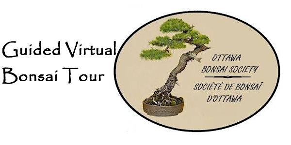 Guided Virtual Bonsai Exhibition Tour