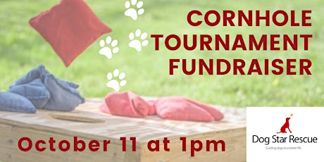 Cornhole Tournament Fundraiser primary image