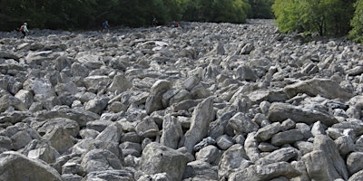Image principale de Raptor Hike and River of Rocks Scramble!