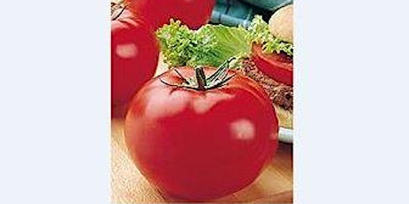 Tomatoes - In Search of the Perfect Tomato - Virtual Presentation primary image