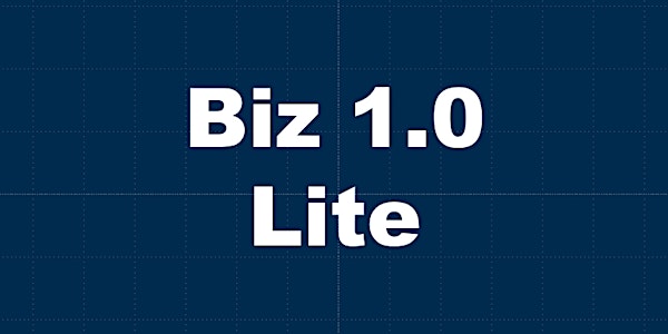 Biz 1.0 Lite - Finance Version