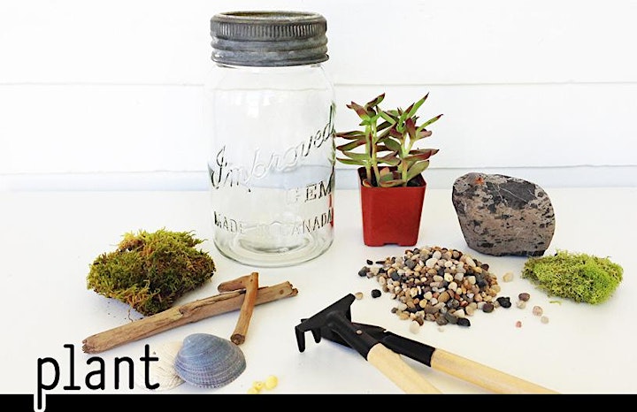 Virtual Galentine's DIY Terrarium Workshop image