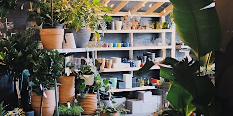 Green Your Thumb: Houseplant Workshop primary image