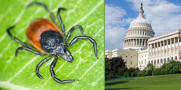 Congressional Lyme Series:  Lyme Moonshot, A Call to Action, Cure by 2030