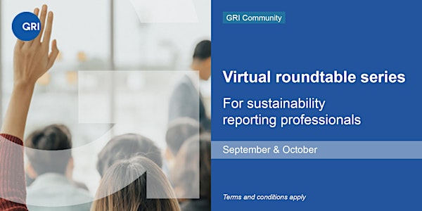 Virtual roundtable: Reporting on the SDGs - Afternoon session