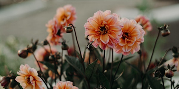 WORKSHOP - ART FLORAL