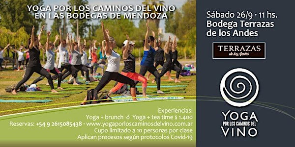 Yoga por los Caminos del Vino + brunch en TERRAZAS DE LOS ANDES