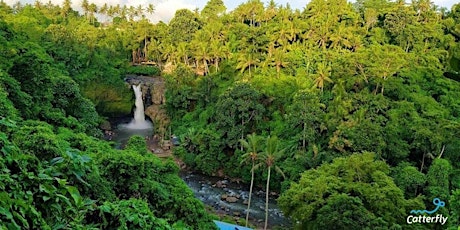 Hauptbild für Free LIVE Tour- Tegenungan Waterfall, Bali