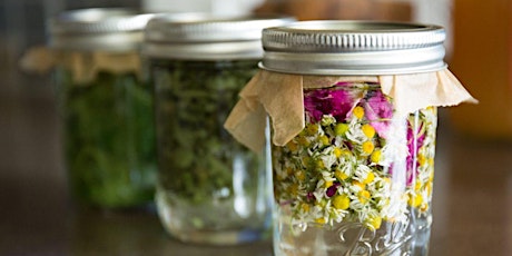 Imagen principal de Herbal Remedies for Beginner's How to Make a Tincture