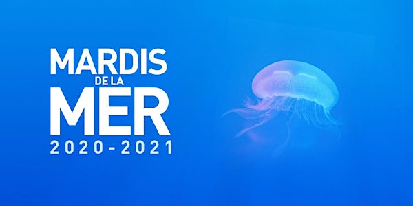 Les Mardis de la Mer 2020-2021