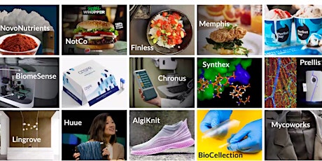 The New Biotech: IndieBio primary image