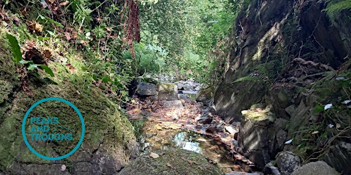 Imagen principal de Slieve Foye Loop with Forest Bathing Taster Session
