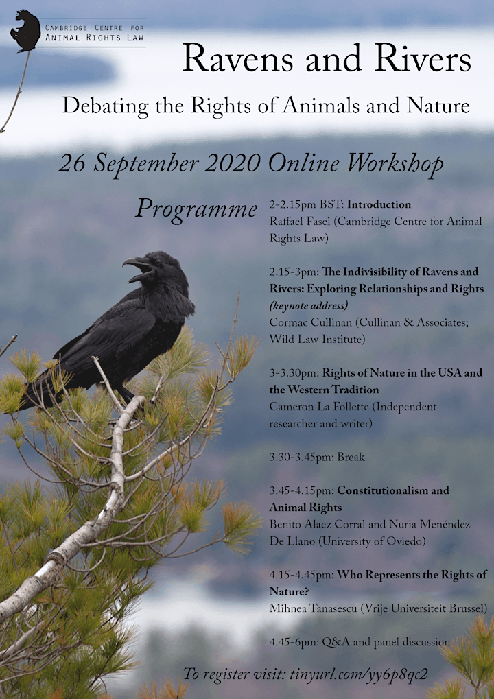 
		Ravens and Rivers: Debating the Rights of Animals and Nature image
