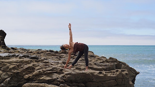 Image principale de Ashtanga Yoga: Going to the Heart of Practice with Miyuki Tamura