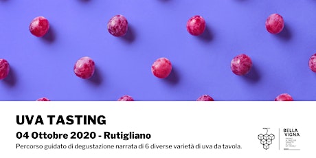 Immagine principale di Uva Tasting | Premio Bella Vigna 2020 