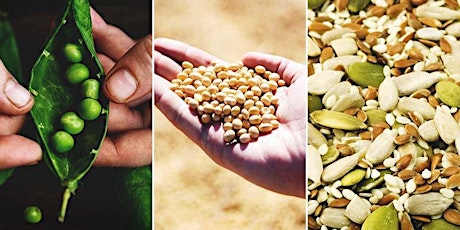 Seedsaving...a chance to save precious seeds for future generations primary image