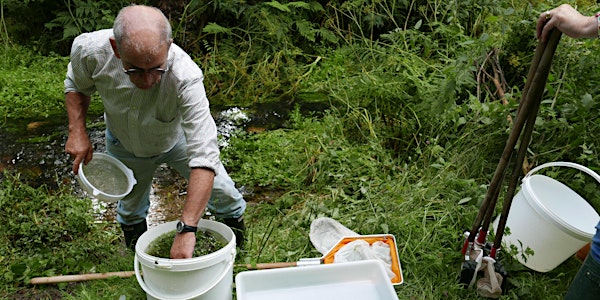 Discover the River Culm, an evening of river science and exploration