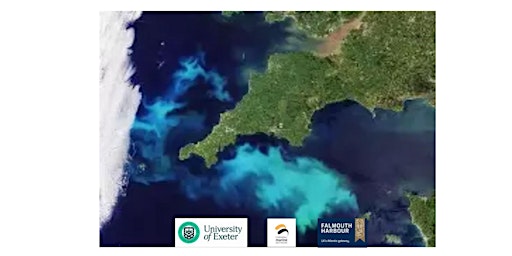 Image principale de Cornwall Ocean Strategy: Marine Leaders
