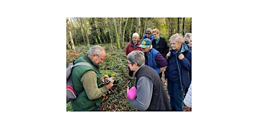Image principale de Fungi Foray on Banstead Heath