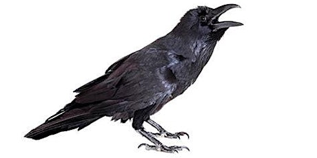 The Raven primary image