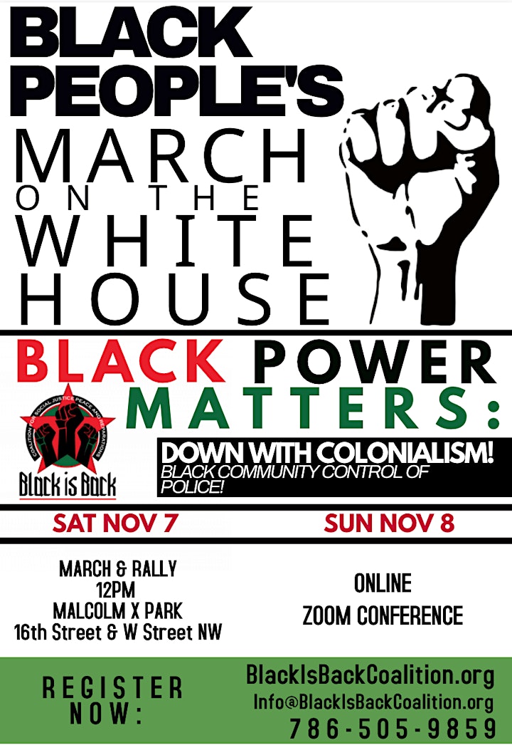Black People's March On White  House image